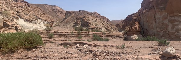 drmazazo Profile Banner