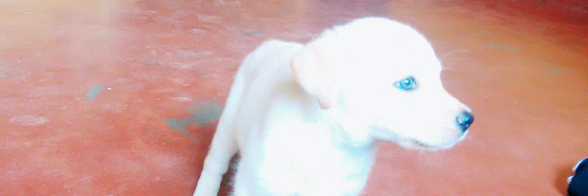MaFe0221's profile banner image