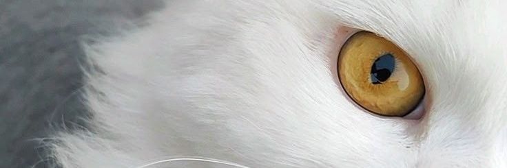 am_205_'s profile banner image