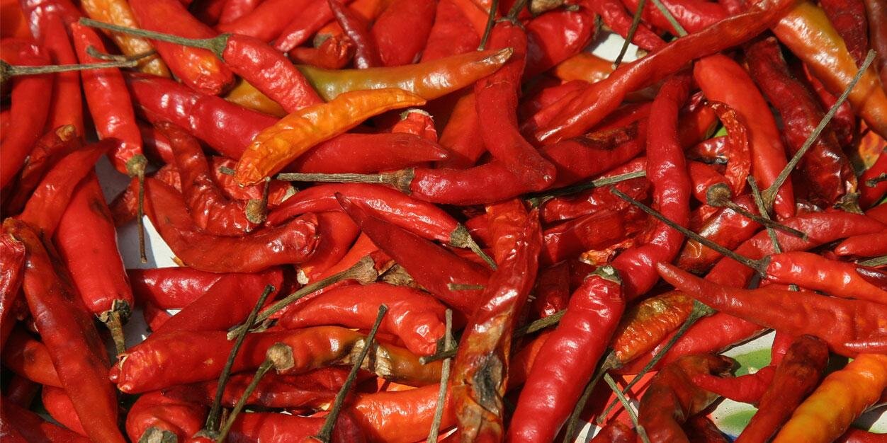 chilli_co's profile banner image
