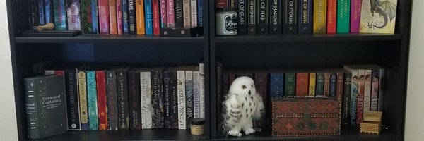 LibraryofHawkes Profile Banner