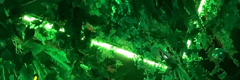 gomu 🍄 punkin ride 2 hek /third charms the time🎃 banner