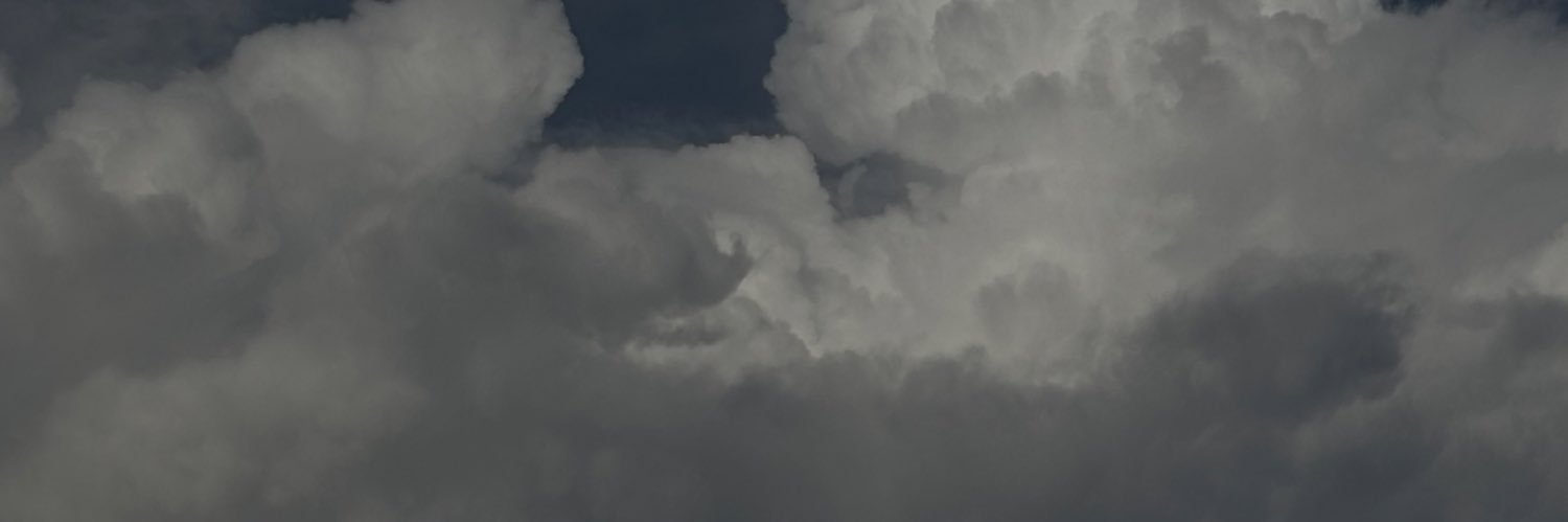 yul1ssa0's profile banner image