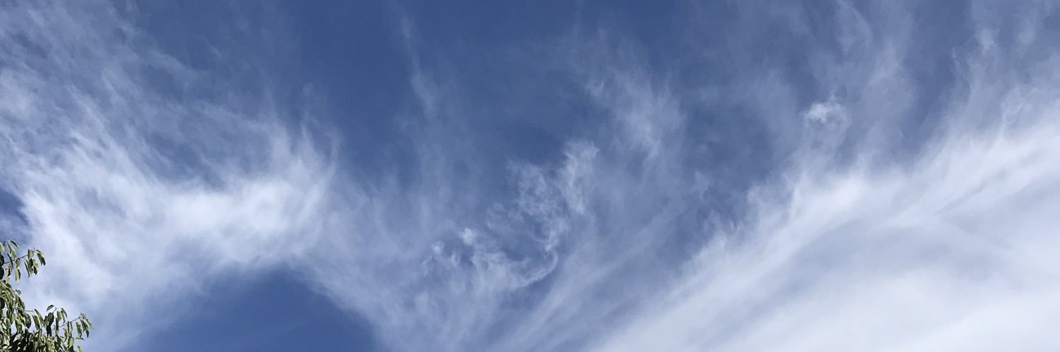 menzer's profile banner image