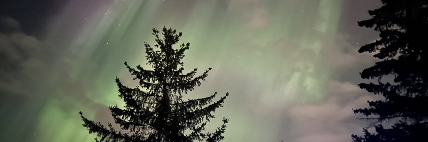 mdpullis's profile banner image