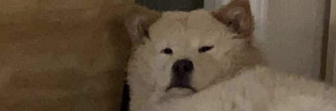 Telmane BASSI 🇨🇬🇫🇷 banner