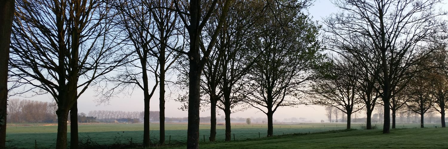 maasstroat13's profile banner image