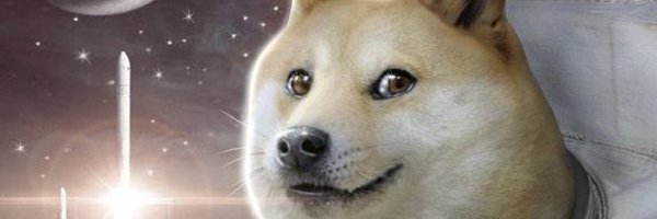 Bit_Current Profile Banner