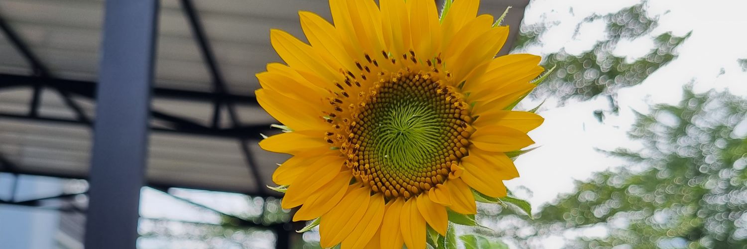 MarthaTnb's profile banner image