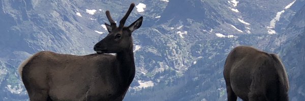 charliescherm32 Profile Banner