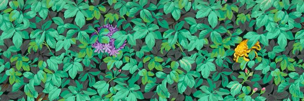 CatOfLongTails Profile Banner