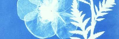 seniwati's profile banner image