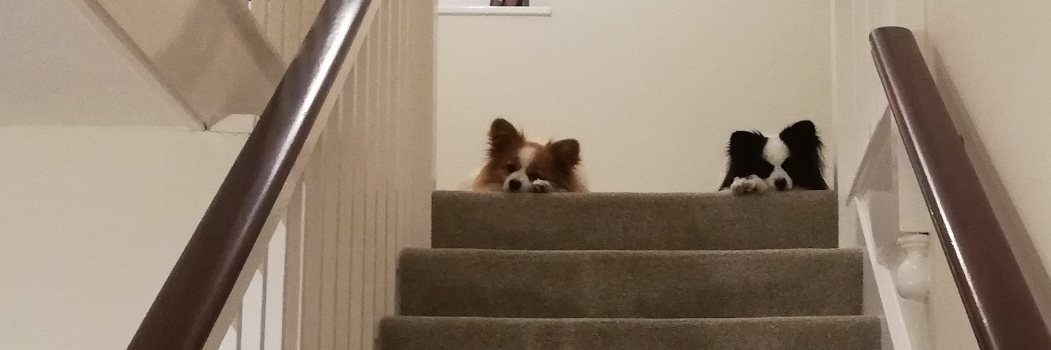 Imogen Howson banner