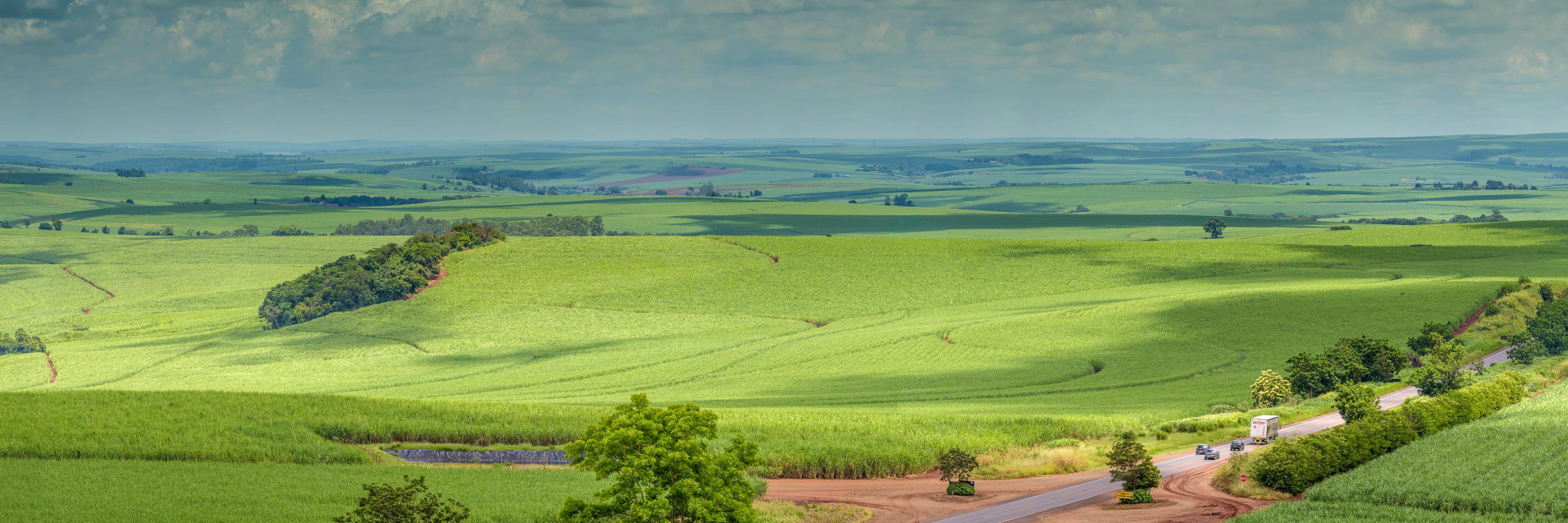 Agroicone's profile banner image