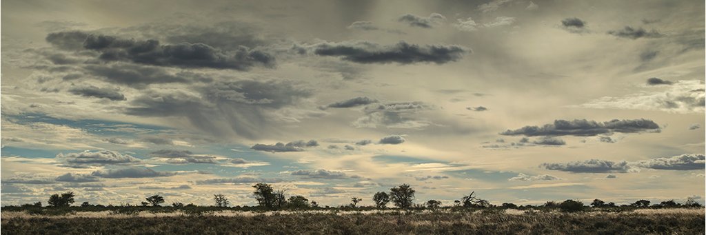 RobGlenister's profile banner image