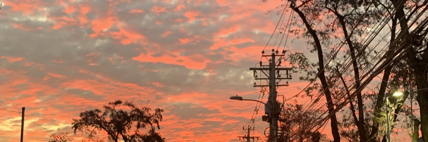 fdogaspar's profile banner image