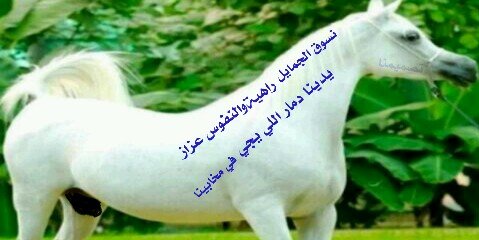 arkaa888's profile banner image