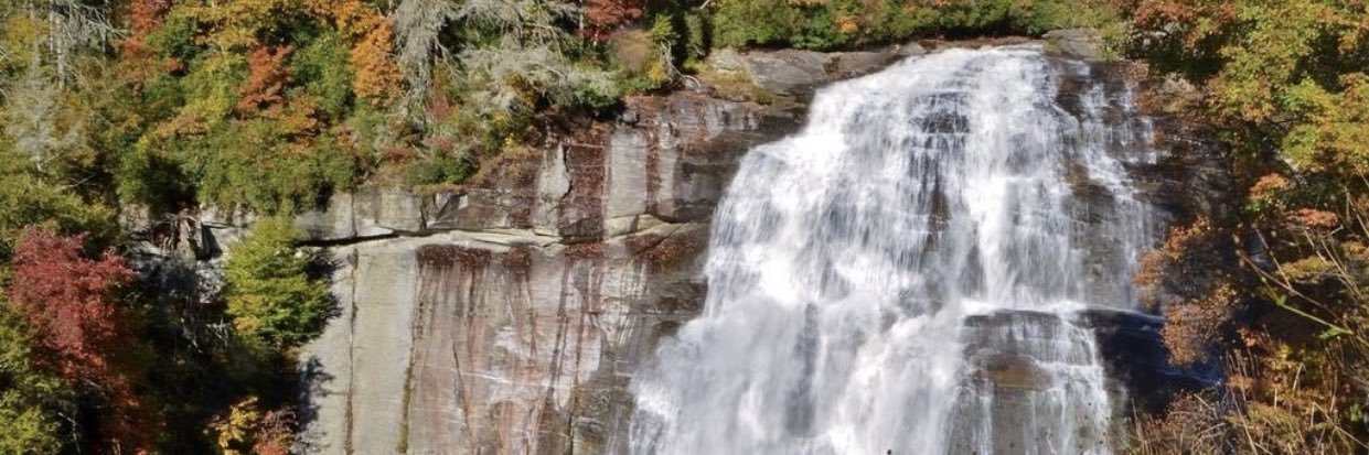 Lizette Sears banner