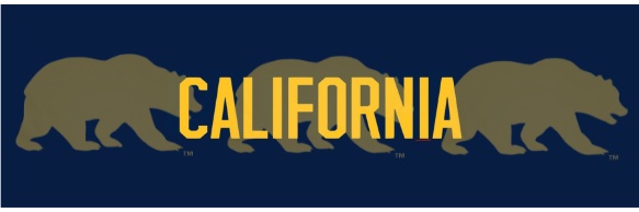 hoopdreams 🐻💙💛's banner