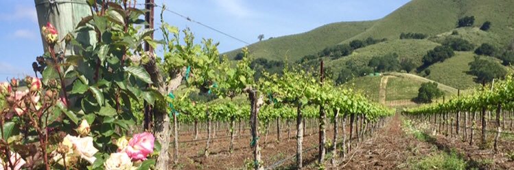 Meister Media banner