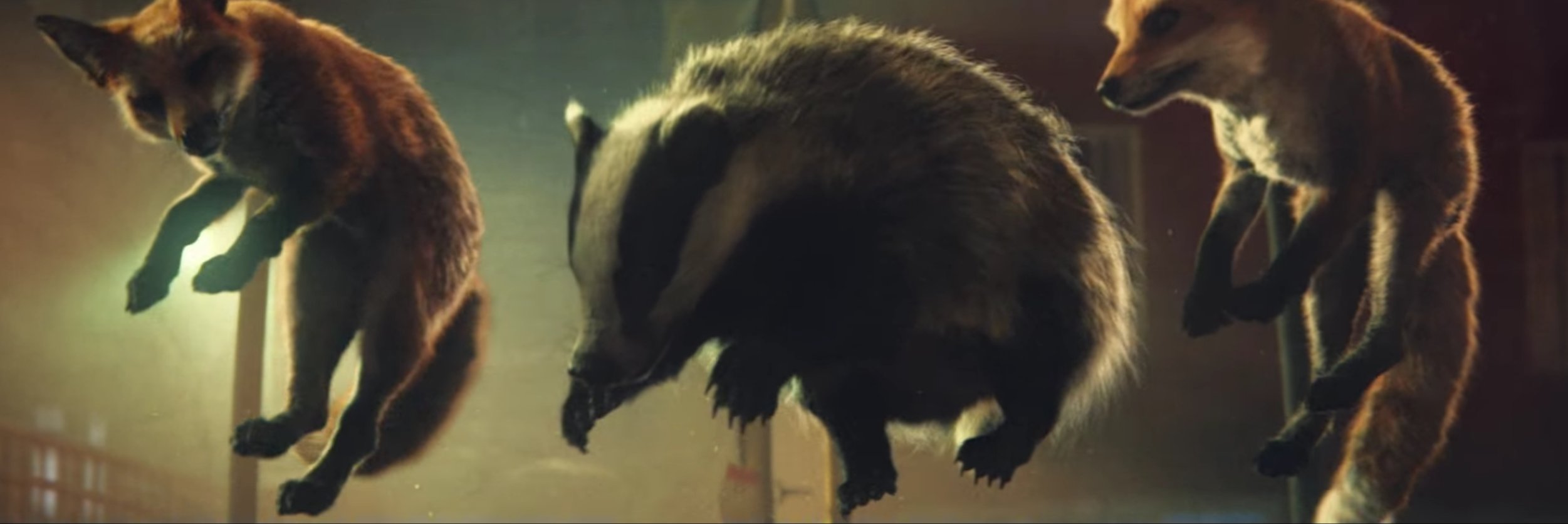 planningbadger's profile banner image