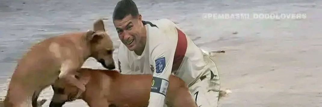 VARcelona Dog Owner's Mom Is My Personal Bitch🐕 banner