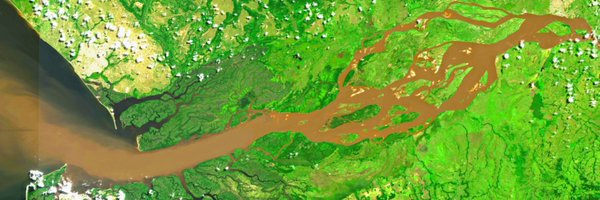 PineaPinea Profile Banner