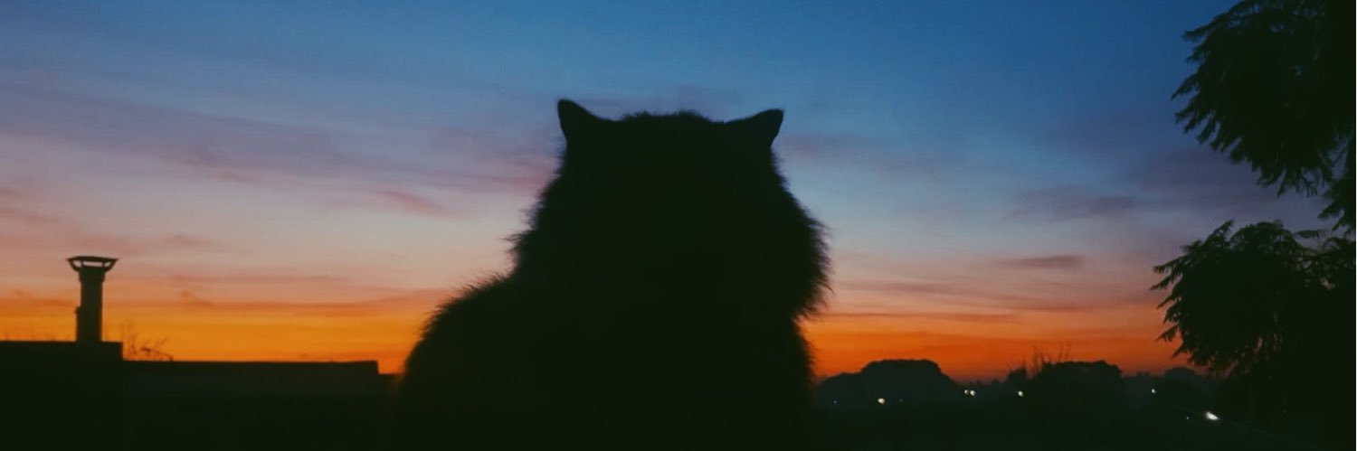 AgusRodri6uez's profile banner image