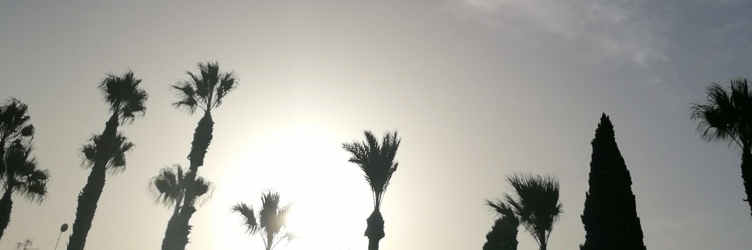 mariofol1's profile banner image