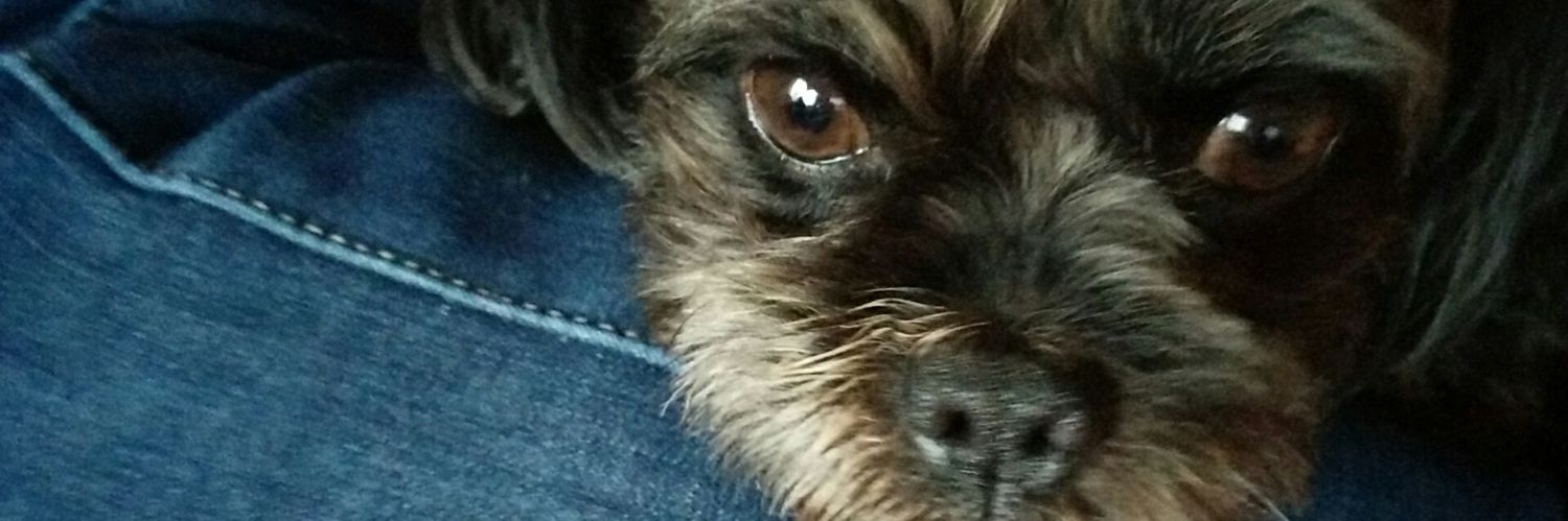 papetomo's profile banner image