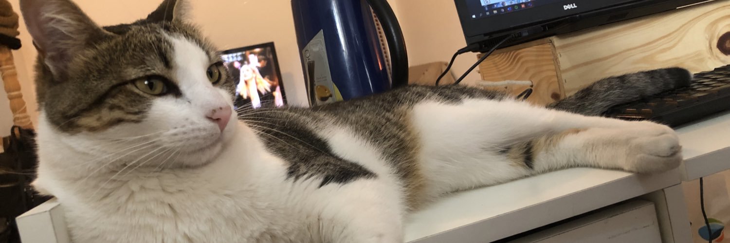 veritosuarez84's profile banner image