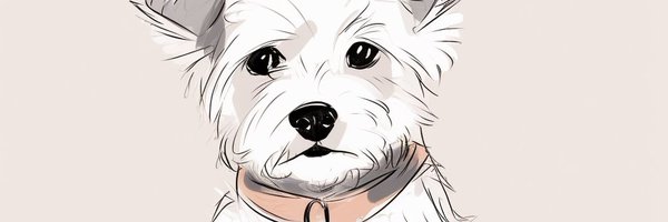 poi_dro Profile Banner