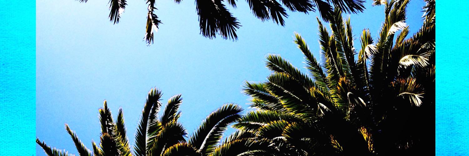 aalelobos's profile banner image
