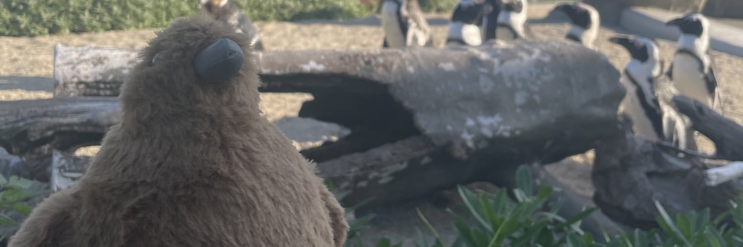 grsm38's profile banner image