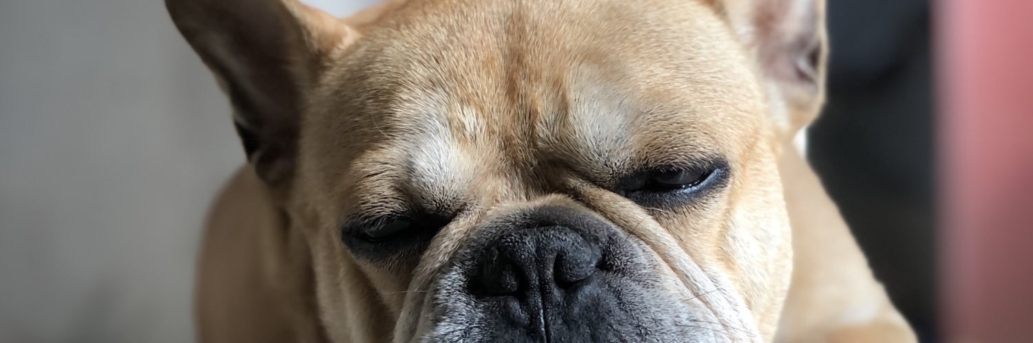 Cami 🥑 banner