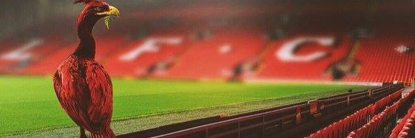 MrGr88n's profile banner image
