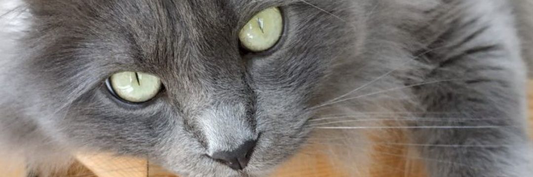 9margon's profile banner image