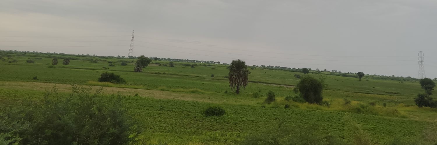 wasifle's profile banner image