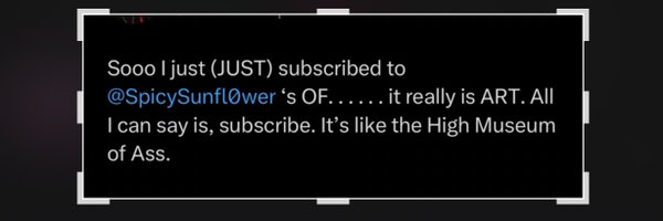 SpicySunfl0wer Profile Banner