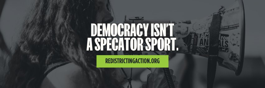 Redistricting Action banner