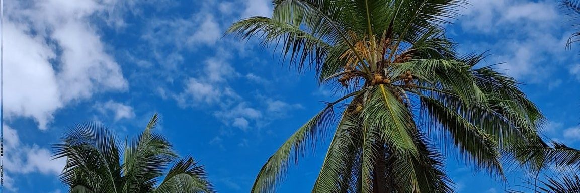 Adolf Hitler II® banner