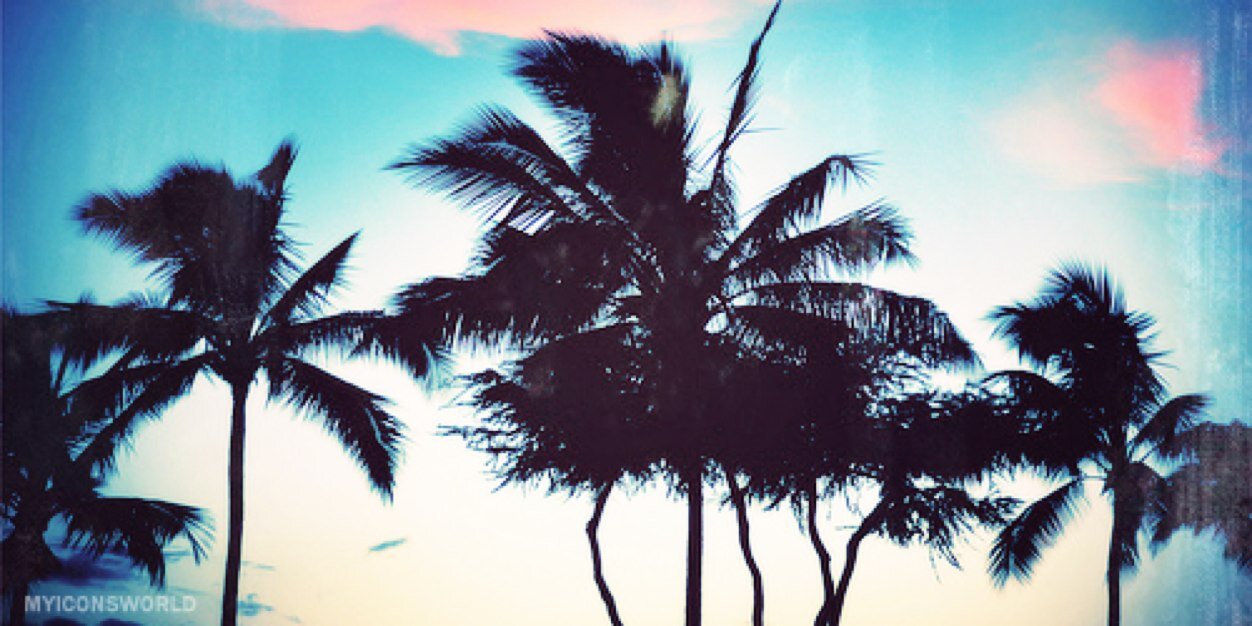 _heyitsnicole's profile banner image