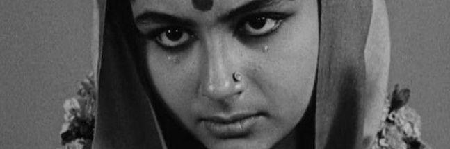 hari banner