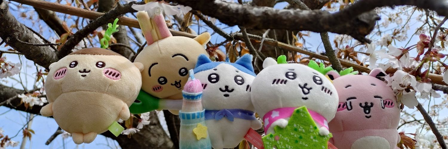 kaiku1125's profile banner image