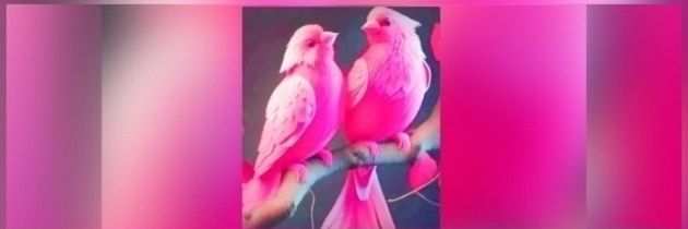WARDA BLONDA's banner