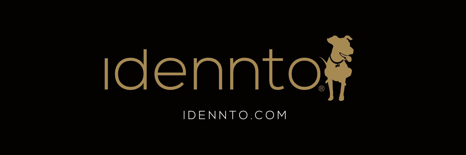 idennto's profile banner image