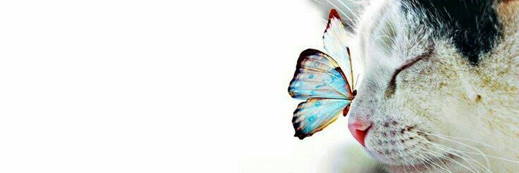 SADittarius♐️ banner