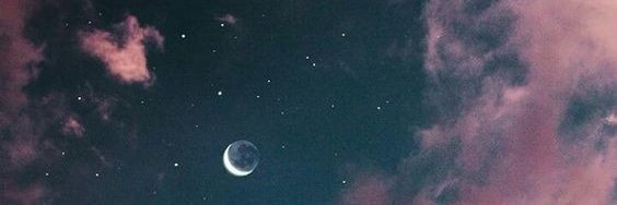 shaannonking's profile banner image