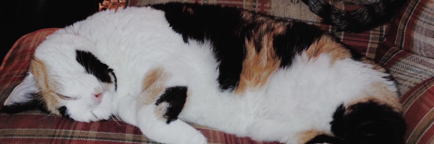 brennna23's profile banner image