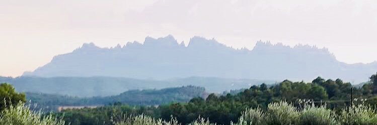 ccisilva's profile banner image